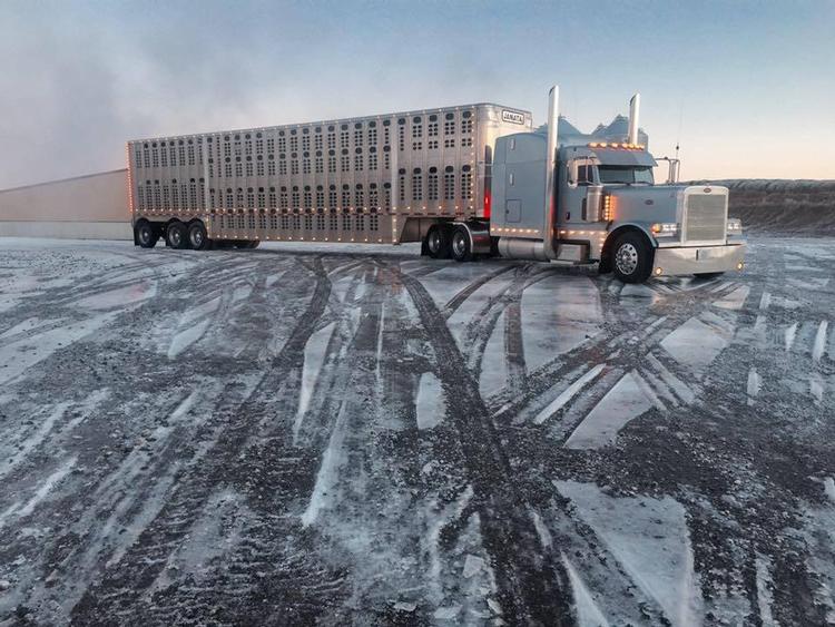 What types of livestock trailers does Barrett sell?
