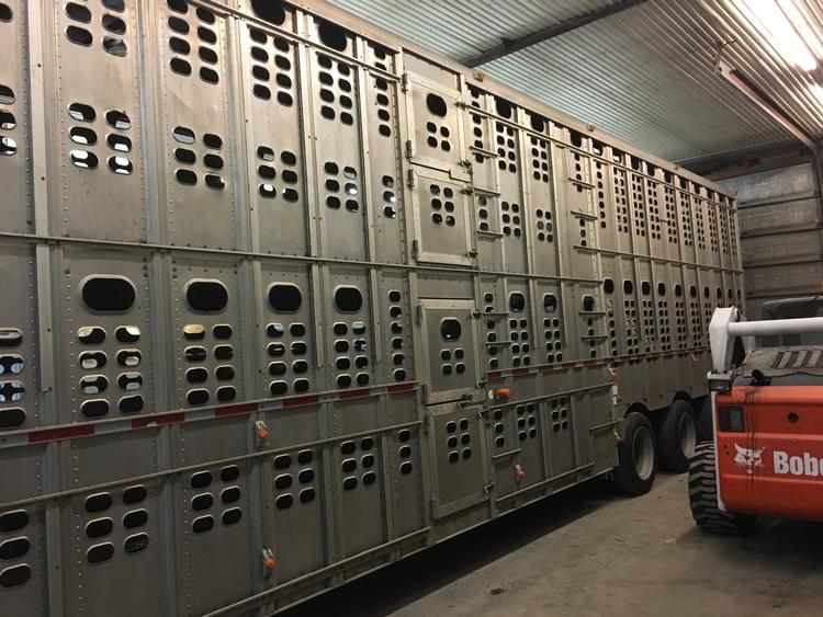 Livestock Network Cattle Trailers For Sale Cattle Trucking Jobs Bull Racks