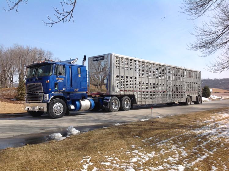 Livestock Network Cattle Trailers For Sale Cattle Trucking Jobs