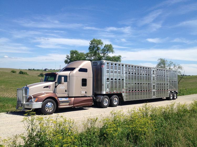 Livestock Network Cattle Trailers For Sale Cattle Trucking Jobs