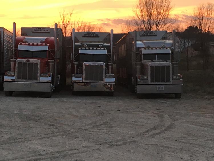 Livestock Network Cattle Trailers For Sale Cattle Trucking Jobs