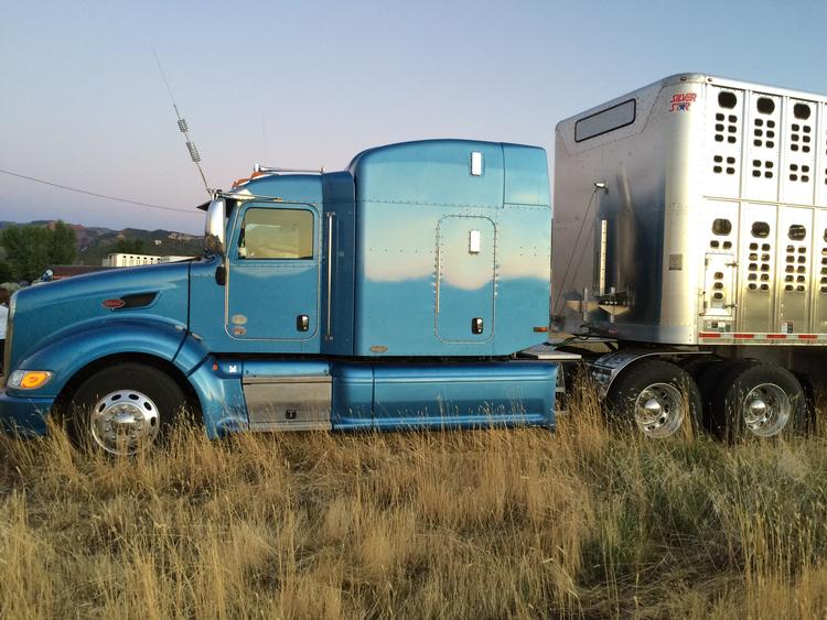 Livestock Network Cattle Trailers For Sale Cattle Trucking Jobs