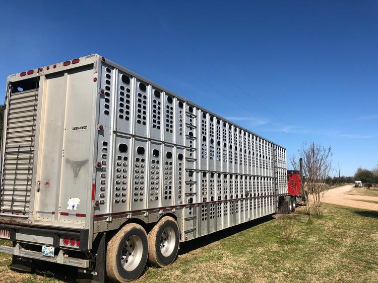 Livestock Network Cattle Trailers For Sale Cattle Trucking Jobs