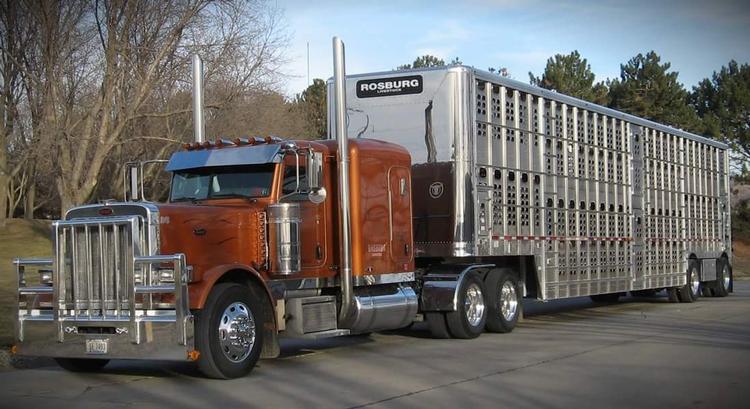 livestock-network-cattle-trailers-for-sale-cattle-trucking-jobs