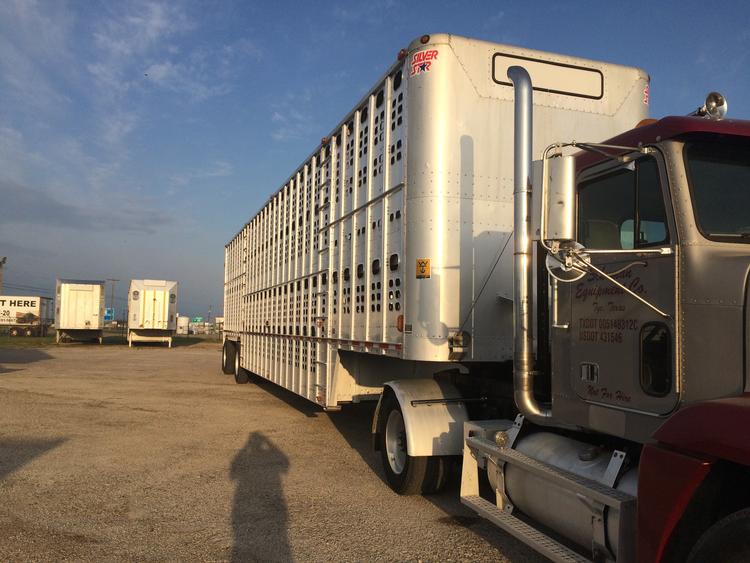 Wilson Cattle Trailers Hauler Wiring Diagram