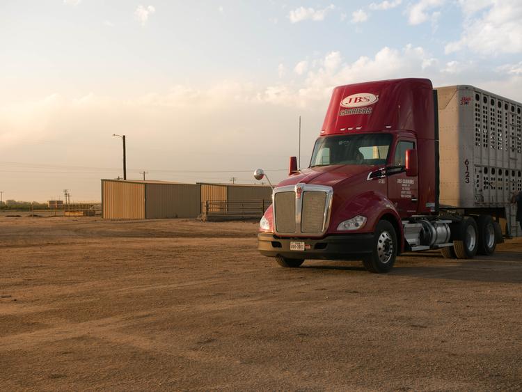 Livestock Network Cattle Trailers For Sale Cattle Trucking Jobs