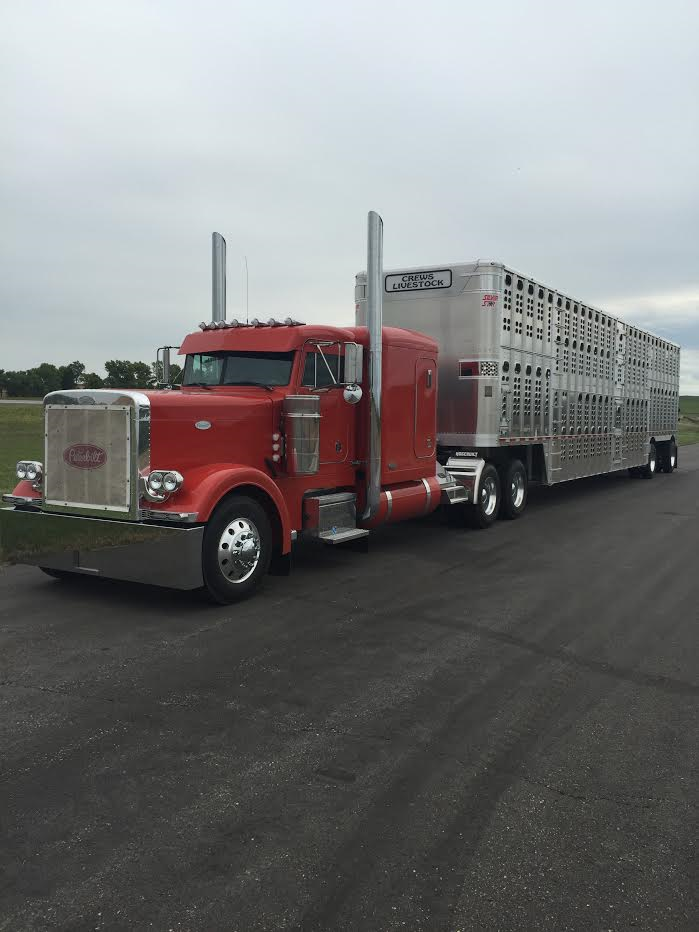 Livestock Network Cattle Trailers For Sale Cattle Trucking Jobs