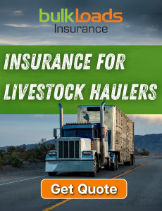 Bulk Insurance Group