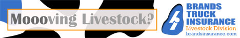 Brands Truck Insurance