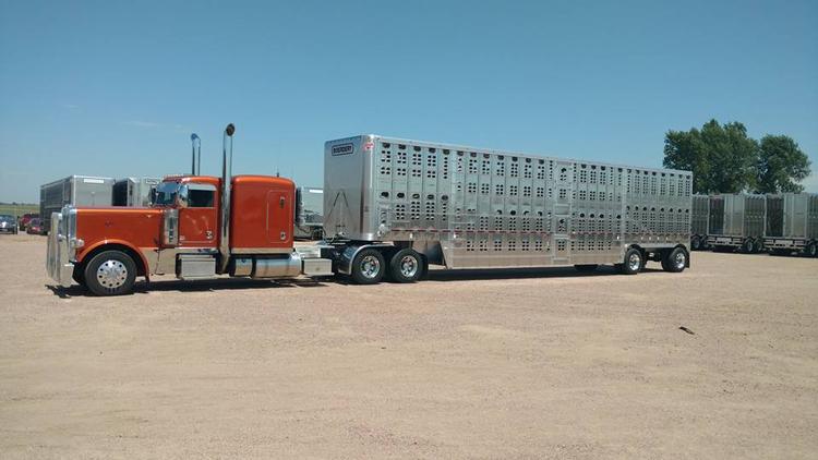 Livestock Network | Cattle Trailers For Sale | Cattle Trucking Jobs ...
