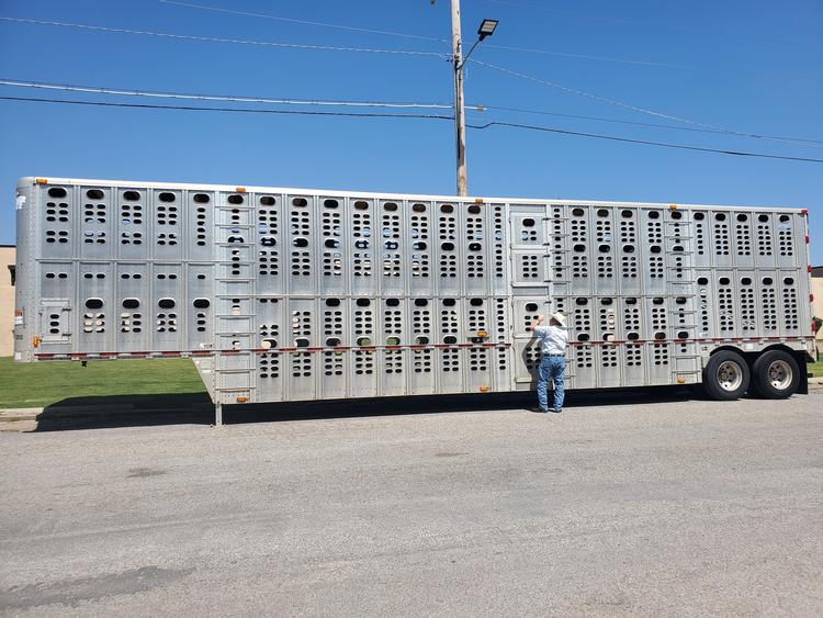 Livestock Network Cattle Trailers For Sale Cattle Trucking Jobs