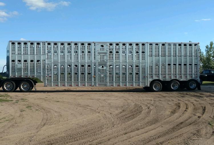 Livestock Network | Cattle Trailers For Sale | Cattle Trucking Jobs ...