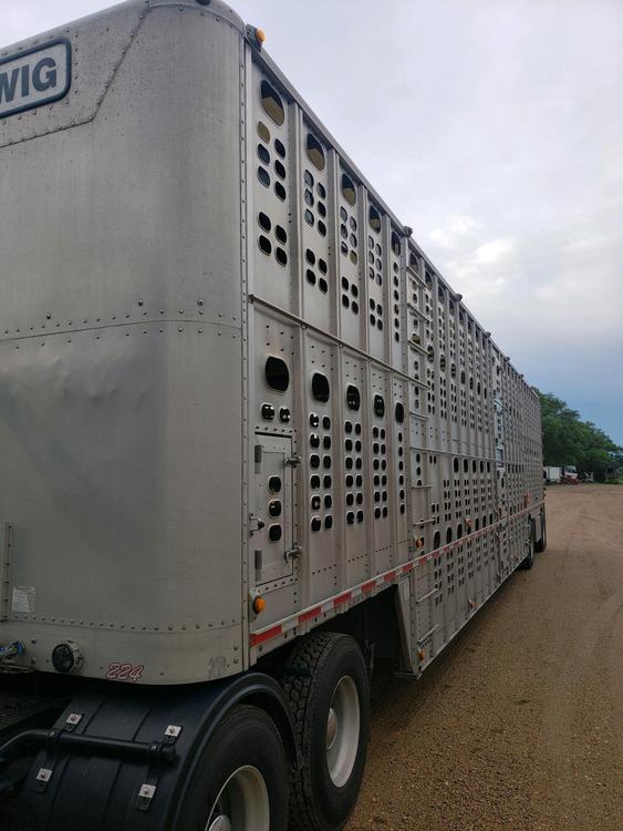 Livestock Network Cattle Trailers For Sale Cattle Trucking Jobs