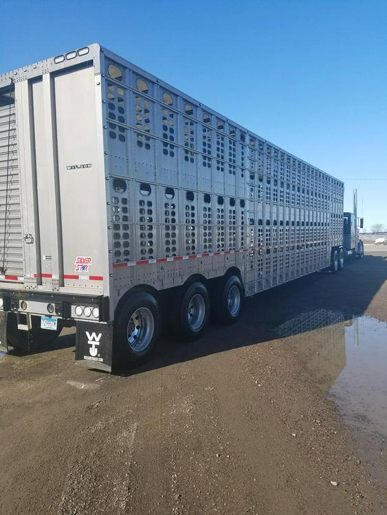 Livestock Network | Cattle Trailers For Sale | Cattle Trucking Jobs ...