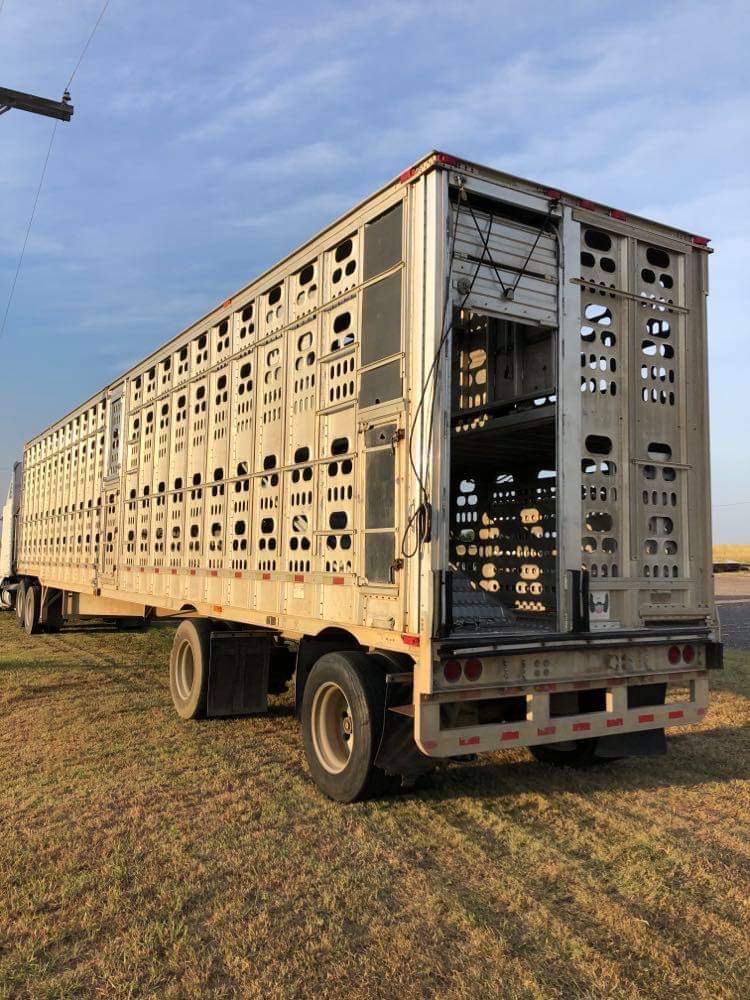 Livestock Network Cattle Trailers For Sale Cattle Trucking Jobs