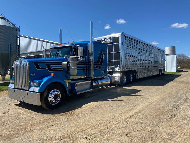 Livestock Network Cattle Trailers For Sale Cattle Trucking Jobs