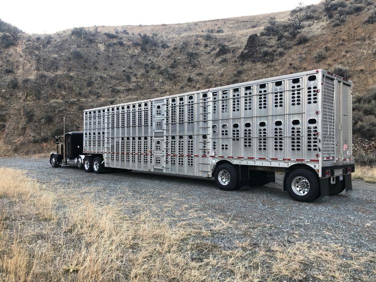 Livestock Network Cattle Trailers For Sale Cattle Trucking Jobs