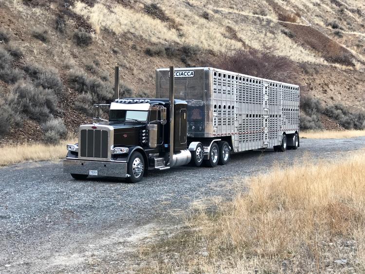 Livestock Network | Cattle Trailers For Sale | Cattle Trucking Jobs ...
