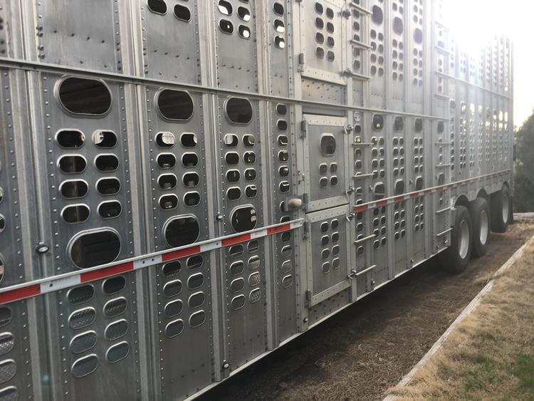 Livestock Network | Cattle Trailers For Sale | Cattle Trucking Jobs ...