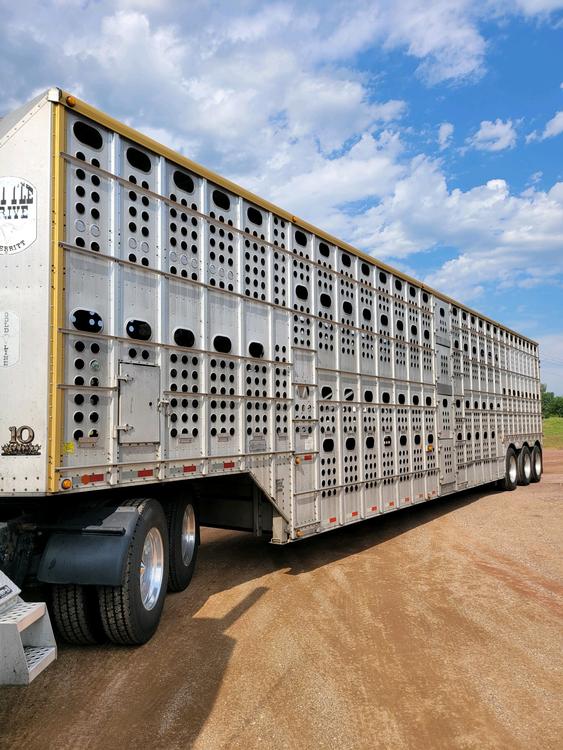 Livestock Network Cattle Trailers For Sale Cattle Trucking Jobs