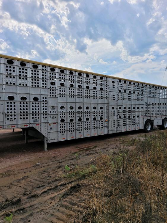 Livestock Network Cattle Trailers For Sale Cattle Trucking Jobs