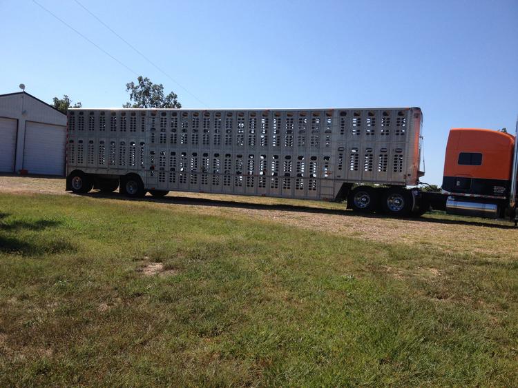 Livestock Network | Cattle Trailers For Sale | Cattle Trucking Jobs ...